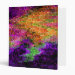 Front/Inside