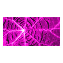 Vibrant purple picture card