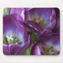 Vibrant Purple Tulips Mouse Pad