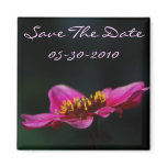 Vibrant Save The Date Magnet