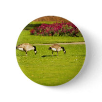 Victoria Geese 3 Pins