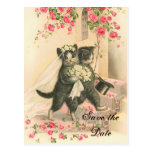 Victorian Kitten Wedding Save the Date Postcard