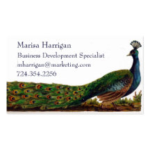 Victorian Peacock Business Cards