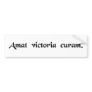 Victory favors those who take pains bumper stickers