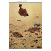 Vie marine marine vintage, flets de poissons plats cartes