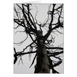 Vieil arbre éffrayant cartes de vœux