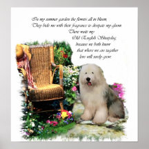 Vieille copie anglaise d'art de chien de berger affiche