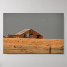 Vieille grange rocailleuse posters