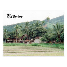 vietnam rice paddies postcards