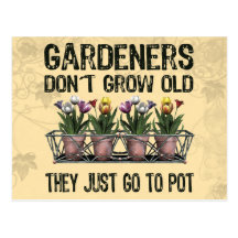 Vieux jardiniers cartes postales