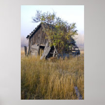Vieux mineurs Shack Poster