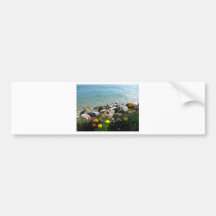 View Bumper Stickers