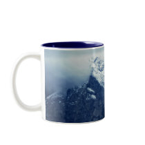 View from Hohensalzburg Coffee Mugs