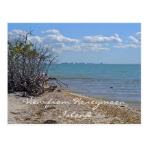 View from Honeymoon Island Postcards