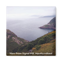 View From Signal Hill 1 Magnet