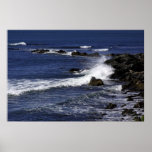 View from the Cliffwalk Poster