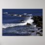 View from the Cliffwalk Poster