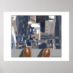 View from the top print
