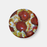 View of a Pepperoni Pizza Magnet