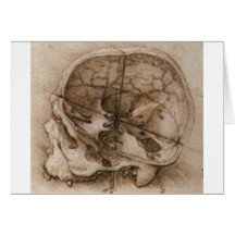 View of a Skull Card