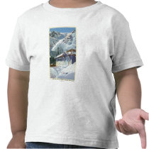 View of a US Forest Service Ski Shelter Tees
