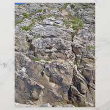 View of Beautiful Mountain with small bushes Flyer