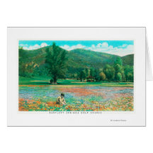 View of Flowering Field Cards