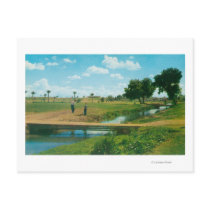 View of Golfer Hitting Ball Post Cards