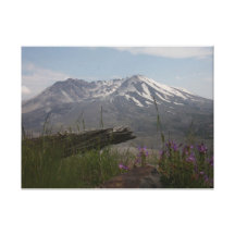 View of Mount St. Helens Canvas Print