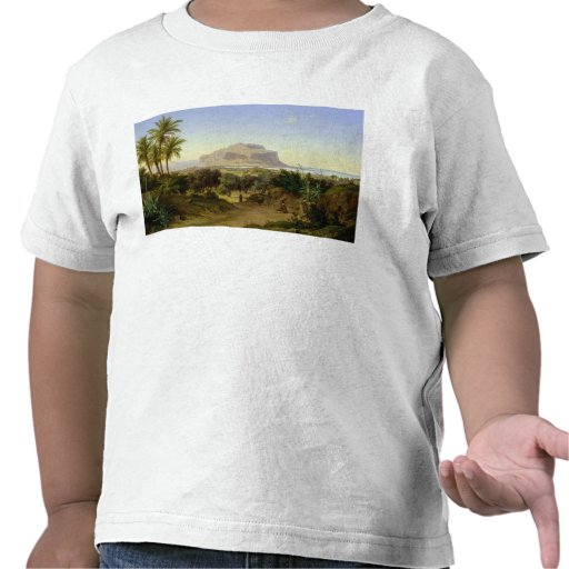 View of Palermo with Mount Pellegrino Tee Shirt