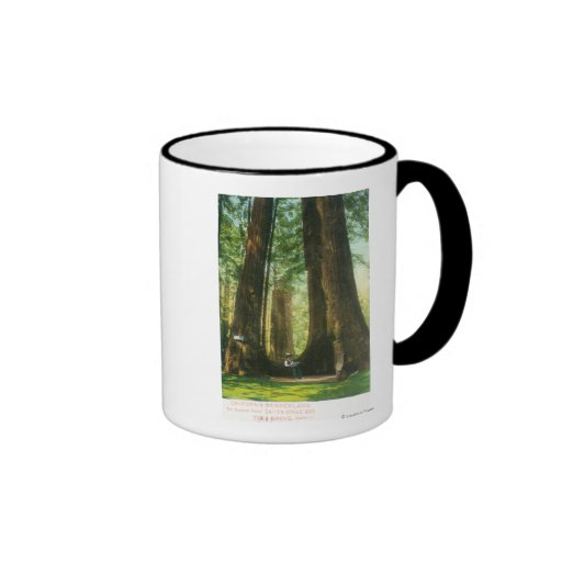 View of Redwood Twins at Big Tree Grove Coffee Mugs