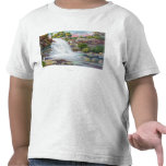View of Shinglekill Falls T-shirts