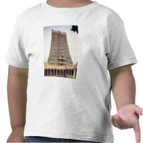 View of the carved exterior of the south gopuram shirts