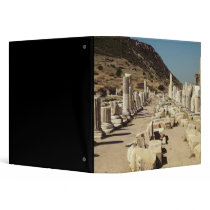 View of the columns on the Upper Market Agora Binder