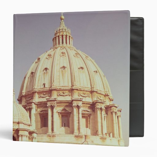 View of the dome, 1546-93 vinyl binders