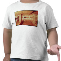 View of the Interior of the Tomb Shirt