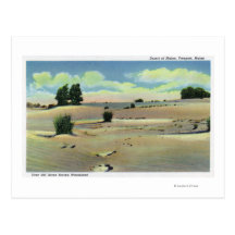 View of the Maine Desert Postcards