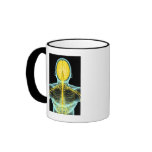 View of the nerves in the upper body from above mug