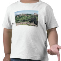 View of the Palace of the Alhambra Tees