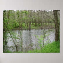 View of the River Poster