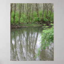 View of the River Poster