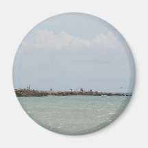 View of the South Jetty Inlet Magnet