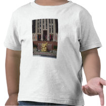 View of the Sunken Plaza t-shirts