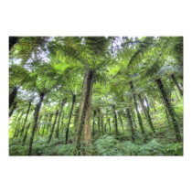View of vegetation in Bali Botanical Gardens,