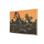 View of Yucca Trees in the Mohave Desert Canvas Print