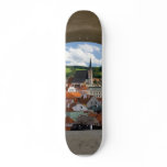 View On Cesky Krumlov Town From The Castle Skateboards