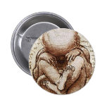 Views of a Foetus in the Womb detail Pins