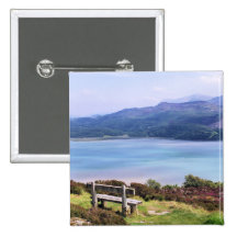 VIEWS OF WALES PIN