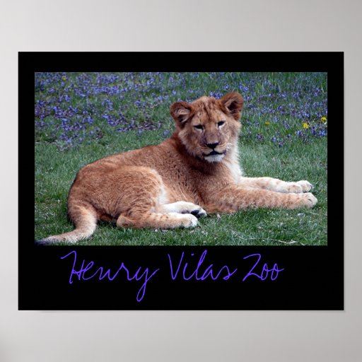 Vilas Zoo Cub Poster