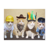 Village Kitties